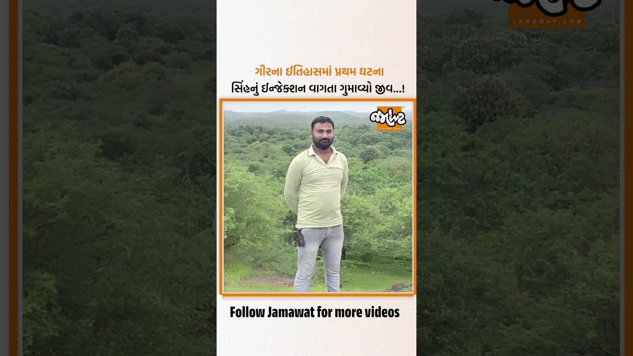 ગીરના ઈતિહાસમાં પ્રથમ ઘટના, સિંહણનું ઈન્જેક્શન વનકર્મીને લાગ્યું, વનકર્મી અશરફ ચૌહાણે ગુમાવ્યો જીવ