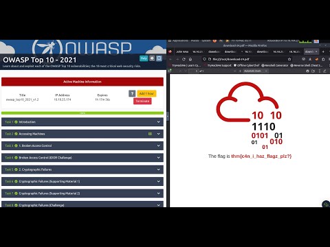 OWASP Top 10