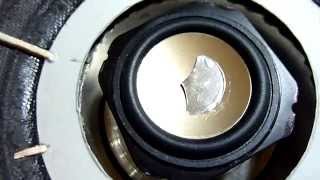 INTERESTING SPEAKER (POINT-SOURCE 2-WAY)