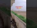 Music Bollywood Hindisong Tereliyehumhaijiye Song Love Musicstyle Wetherupdate 2025 