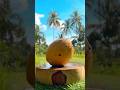 Warning! Rotten Coconut Inside🤨