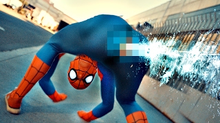 Ass Web