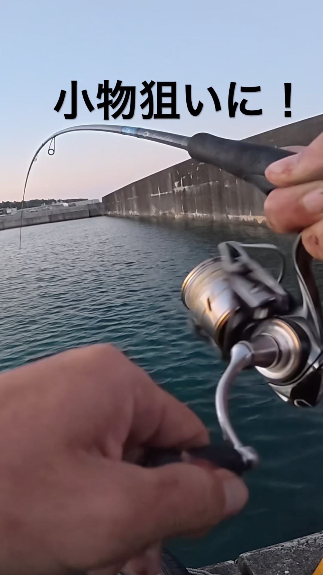 Caught a monster while fishing for horse mackerel #shorts #fishing