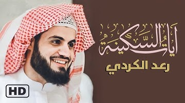 آيات السكينة لدفع القلق والهموم - القارئ رعد الكردي / Ayat Al-Sakina - Holy Quran -  Raad Al-Kurdi