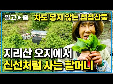 &amp;quot;자연이 있는데 이보다 즐거울 수 있나&amp;quot; 하늘과 바람을 <strong>벗</strong> 삼아 아무도 모르는 지리산 자락에서 신선놀음하는 약초꾼 할머니｜장수의 비밀｜알고e즘