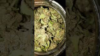 preview of 8 weeks to 3 months cannabis (Blue berry kush & banana kush)