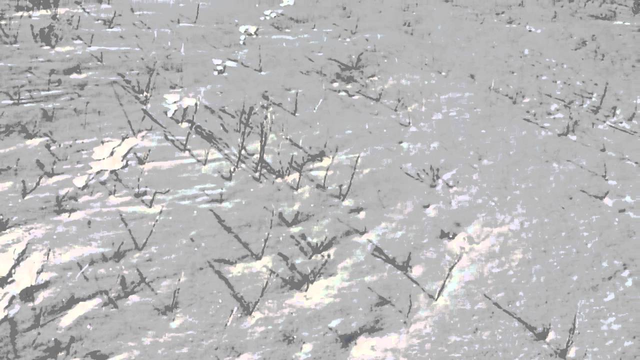 Охота на зайца!! - YouTube