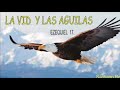 Ezequiel 17 Parábola Vid y las dos Aguilas