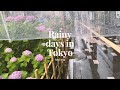 Rainy days in Tokyo | chill week | living alone | working from home in Japan |Tokyo Vlog