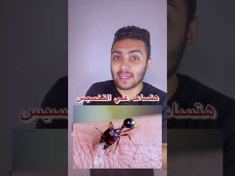 لن تصدق ماذا يحدث لجسمك عندما تقرصك نملة