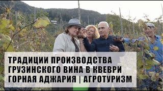 Где купить хорошее вино в Батуми, | Горная Аджария | Агротуризм