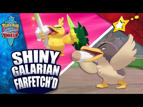 Evy on X: I got shiny Galarian Farfetch'd after 517 eggs and then I  evolved it into Sirfetch'd!💛✨ #PokemonSwordandShield #shinypokemon  #ShinyHunt  / X