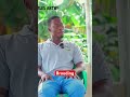 Brooding in Poultry Farming #farming #agriculture #poultryfarm #poultryfarming #shorts #foryou #fyp