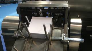 DXH 120W Carton Packing Machine