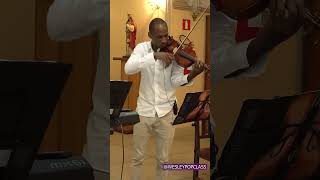 Um mundo ideal - Melim (Violin cover) #casamento #music #violinocasamento