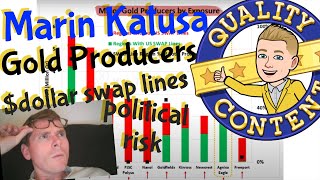 Marin Katusa: Top 10 Gold Miners, dollar swap lines, new political risk