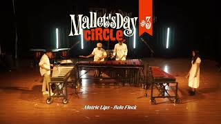 Mallet's Day #3_QAUADRA 2