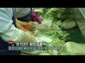 정선 3단컨베어