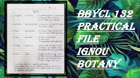 BBYCL 132 PRACTICAL FILE IGNOU BOTANY | BIODIVERSITY