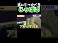 最凶のトラップやばすぎる件※カラピチ※ドズル社 #マイクラ