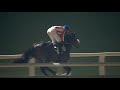 Zhou Storm wins the 1400m I Racing At Meydan I Race 6 I JAFZA