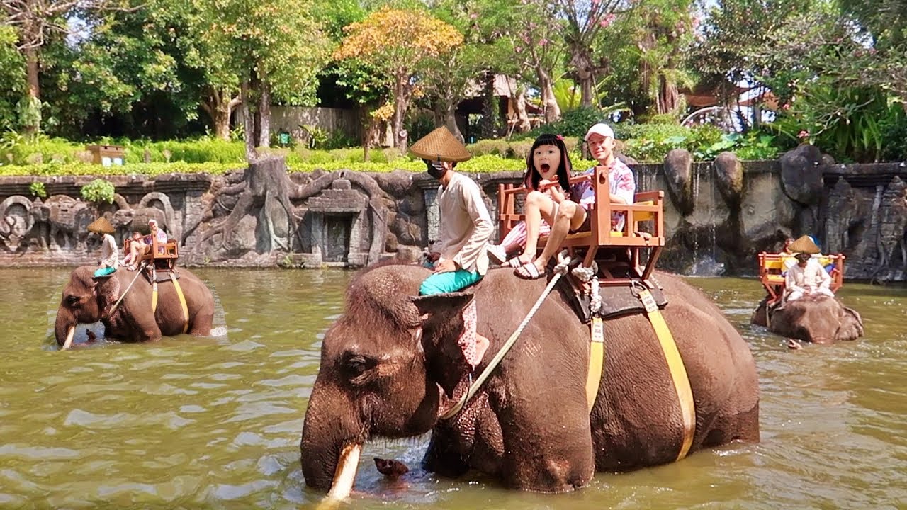 Keliling Sungai Naik Gajah dan Naik Kuda My Little Pony - Kebun Binatang Bali