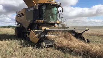 Schergain Grain Loss Measurement System in Action