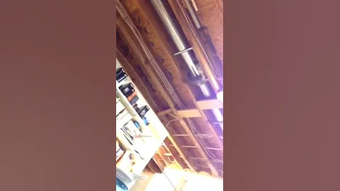 CAT FALLS FROM CEILING