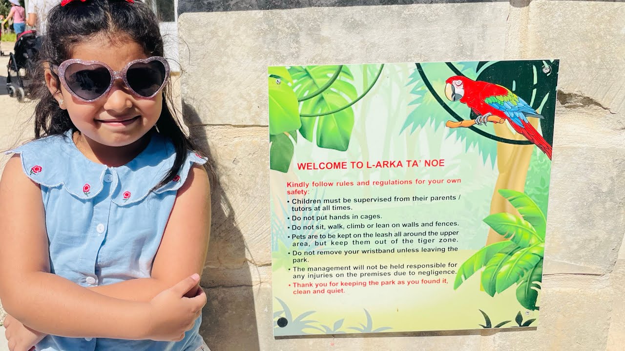 Zoo in Malta LArka ta' Noe wildlife malta zoo wildanimals YouTube