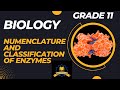 Biology Grade 11: Unit 3- Nomenclature and classification of enzymes | in Thok Nath