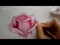 Pink rose painting stepbystep  rose flower painting