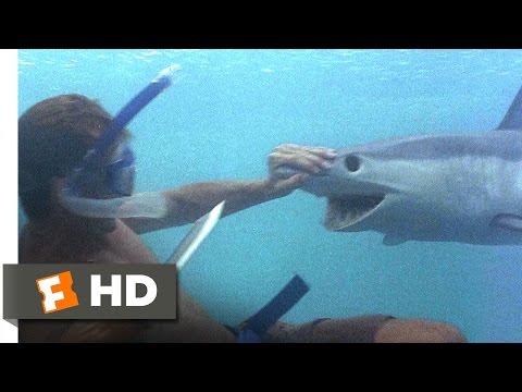 The Beach (3/5) Movie CLIP - A Shark Tale (2000) HD