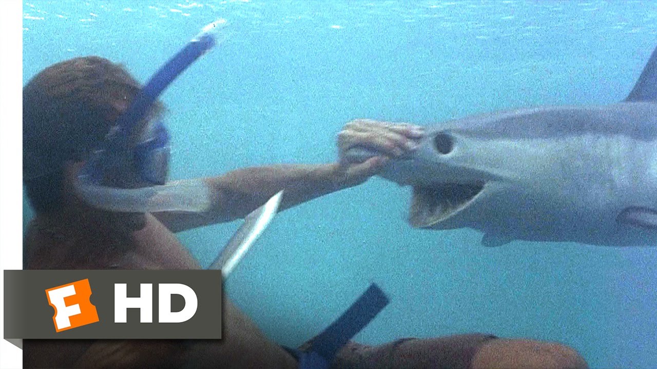 The Beach (3/5) Movie CLIP - A Shark Tale (2000) HD - YouTube