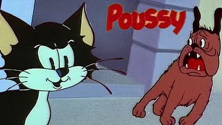 Poussy The Cat Best Moments! | Poussy Le Chat Meilleurs Moments ! | Visual Gags Cartoon!