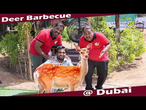 Deer Barbecue in Dubai Farm | Cooking with Jabbar  Bhai - WFT - Tamil Safari...