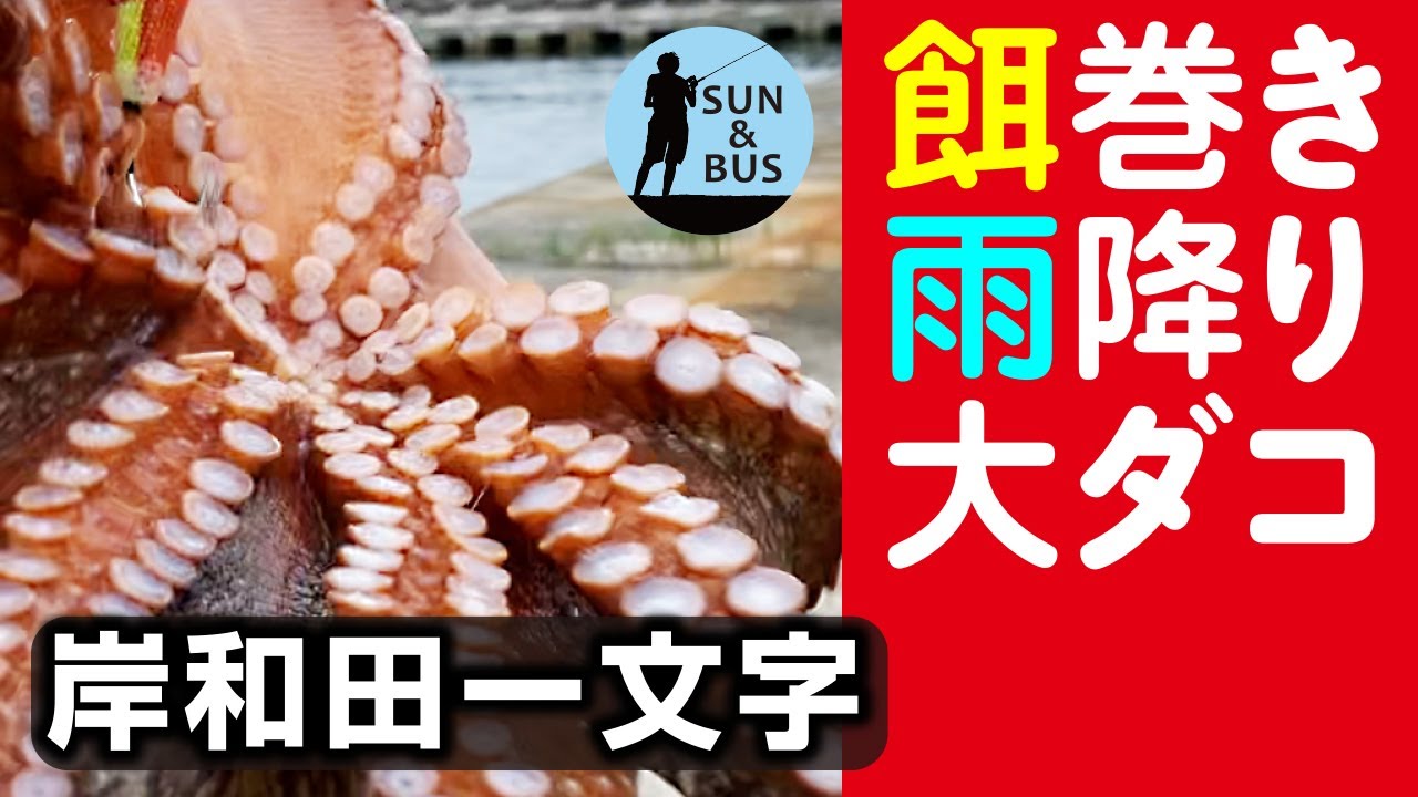 Octopus fishing @ Osaka 14/06/2025] I caught an Octopus with a