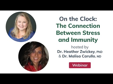 On the Clock: The Connection Between Stress and Immunity