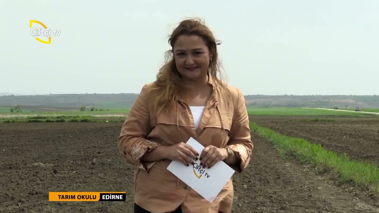 TARIM OKULU - AYÇİÇEĞİ YETİŞTİRİCİLİĞİ