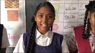 Maths in Nature || Why the pattern in the honey comb is Hexagonal || Maths Project