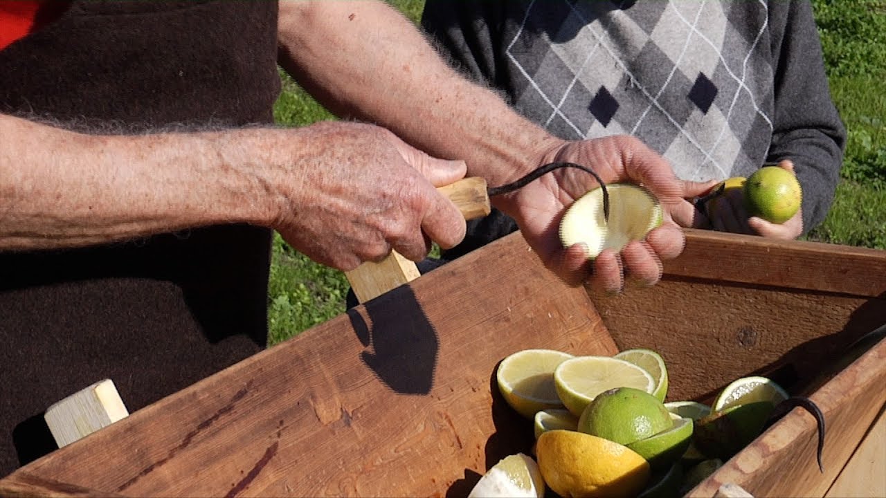 Documentario Agrumi di Calabria Geo e Geo