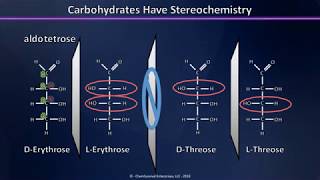 A Brief Introduction to Carbohydrates: Aldoses, Ketoses and their Stereochemistry Explained