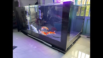 Hồ Cá KOI Nhựa Composite 2 Mặt Kính Suốt - 2000x1100x800 - Nhựa Hoàng Ân