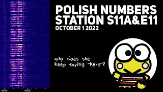POLISH NUMBERS STATIONS S11a & E11 RECORDINGS 221001