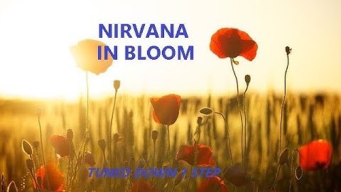 Nirvana - In Bloom - Tune Down 1 Step (D Tuning)