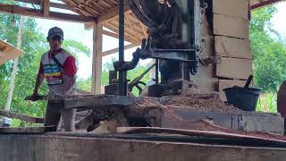 Modern Sawmill Technology – How Timber is Cut with Precision! - Agriculture Farming
