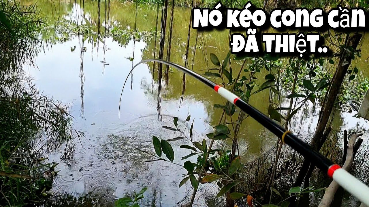 Tập 126 - Vô Mùa Câu Cá Mè Vinh.. Ra Sông Lớn Giật Cá Cỡ Này Đã Tay Thiệt