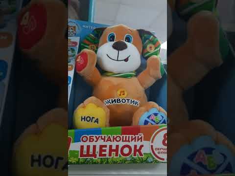 Учёный щенок