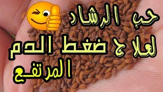 لن تصدق ماذا يفعل حب الرشاد في ضغط الدم