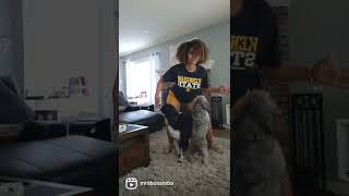 My Dog Hates When I Pretend I'm Frozen - Take 2