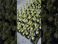 Novelty Trophies